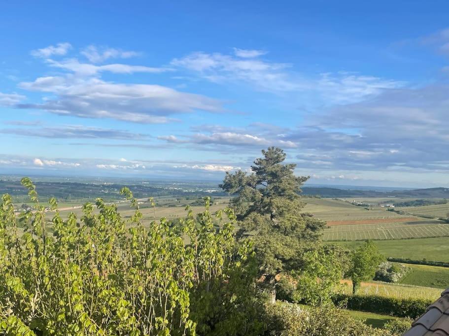 فيلا Le Tinailler Grand Standing Au Coeur Des Vignes Prissé المظهر الخارجي الصورة
